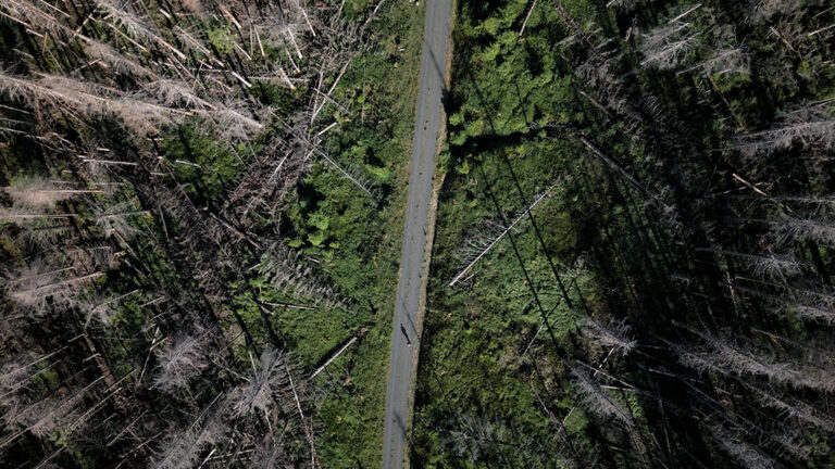 DGDW_STILLS_SEBASTIAN_HARZ_08 Kopie