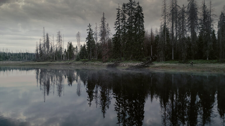 DGDW_STILLS_SEBASTIAN_HARZ_11 Kopie